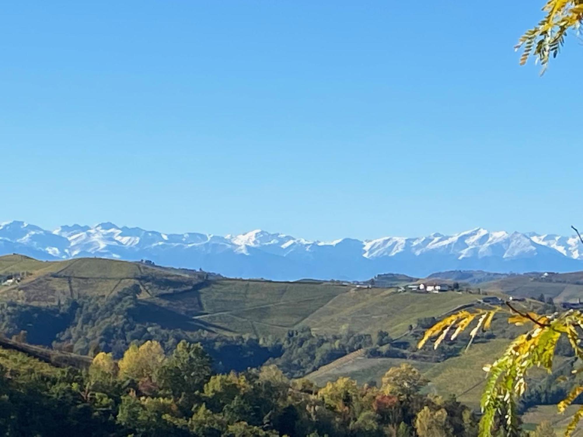 Viasavona46 Nel Cuore Delle Langhe Treiso Ngoại thất bức ảnh
